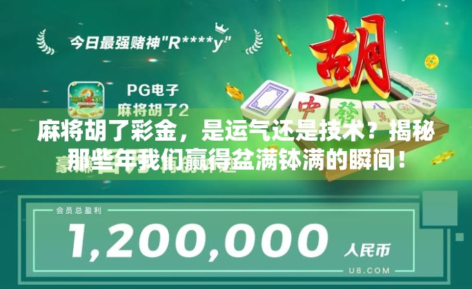 麻将胡了彩金，是运气还是技术？揭秘那些年我们赢得盆满钵满的瞬间！