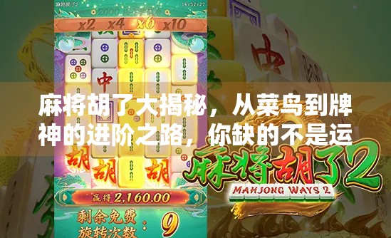 麻将胡了大揭秘，从菜鸟到牌神的进阶之路，你缺的不是运气，是这3个底层逻辑！